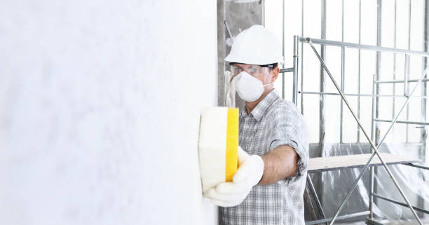 Best Asbestos and Lead Testing During Mold Inspection in Canutillo, TX