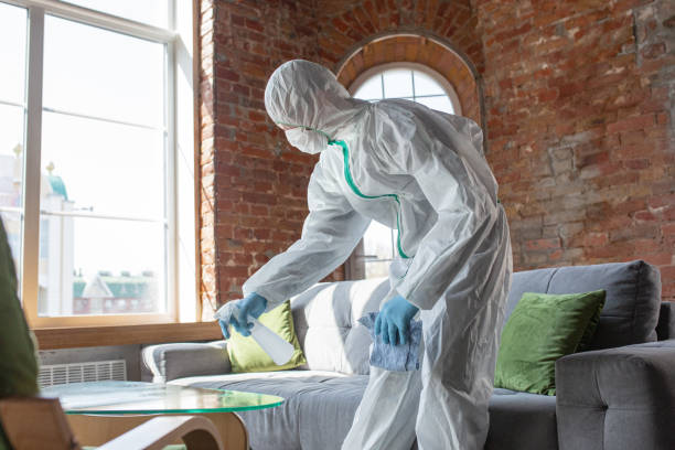 Best Forensic Mold Investigation in Canutillo, TX