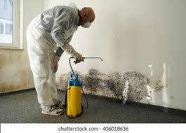 Best Water Damage & Mold Remediation in Canutillo, TX